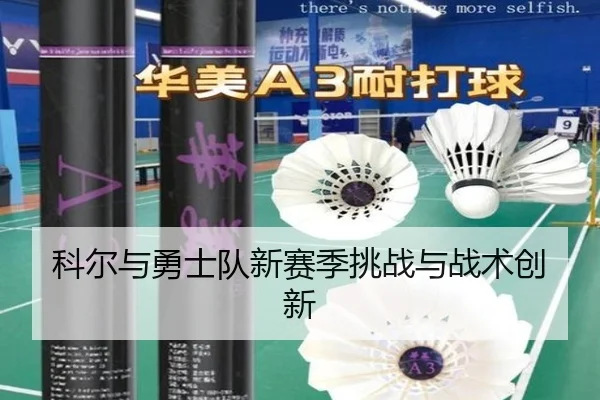 科尔与勇士队新赛季挑战与战术创新